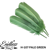 Turkey Quills 12" - 100 Pack