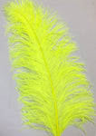 Ostrich Plumes 20-23"