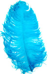 Ostrich Plumes 20-23"